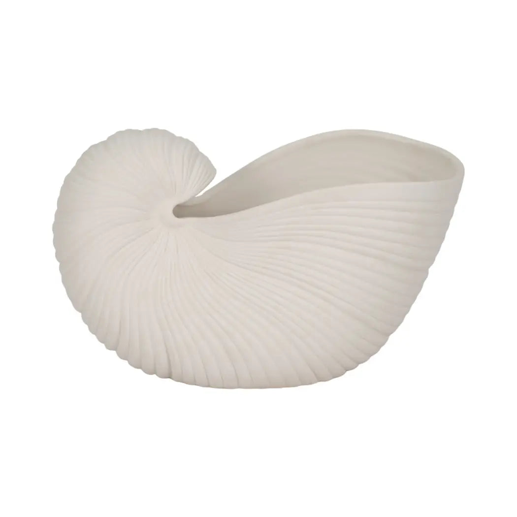White ceramic nautilus shell