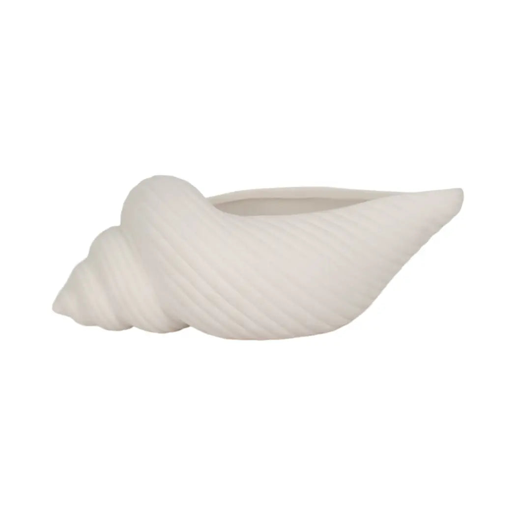White ceramic coastal conch shell